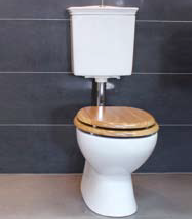 Georgia Low Level Toilet Suite