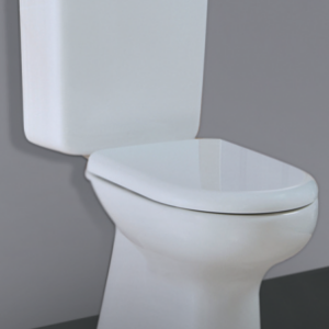 RAK Liwa Ivory Close-Coupled Toilet Suite, S-Trap 140