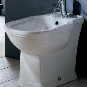 Washington Floor Mounted Bidet