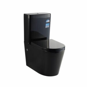 Btw Kasey Toilet Suite, Back - Gloss Black