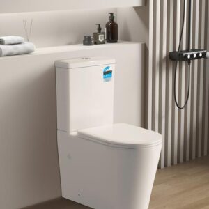 Half Rimless Toilet Suite