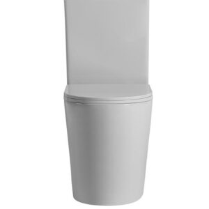 Toilet cistern with Geberit Flush