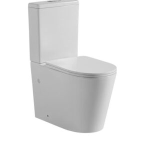 Btw Toilet Suite Geberit