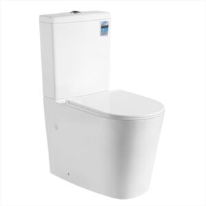 Btw Toilet Cistern Geberit