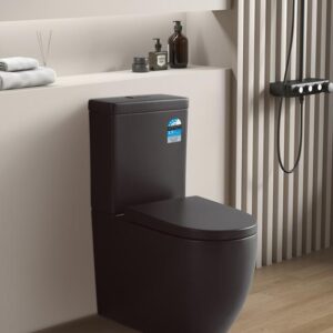 Veda Btw Toilet Cistern - Matte Black