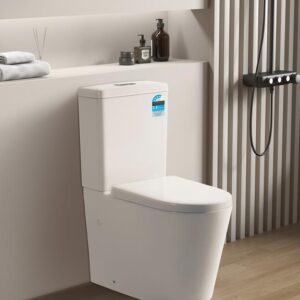 Btw Toilet Cistern Geberit Inlet Cistern