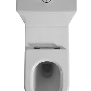 Toilet Suite Asta Disable Rimless Toilet