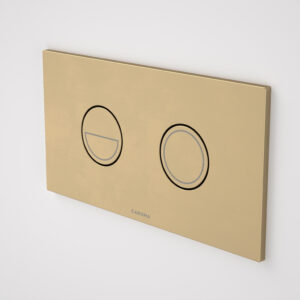 Invisi Series Round Dual Flush Plate & Buttons - Brushed Brass