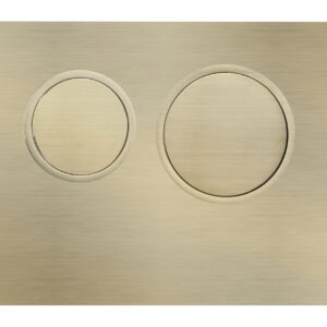 Poseidon R&T Cistern Flush Plate